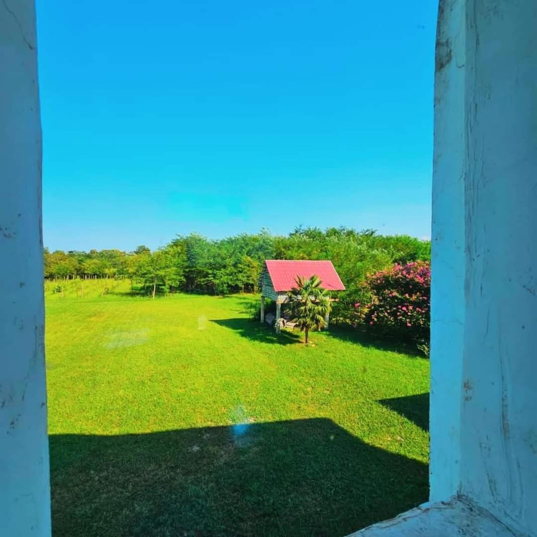 Blue Guest House Samtredia المظهر الخارجي الصورة