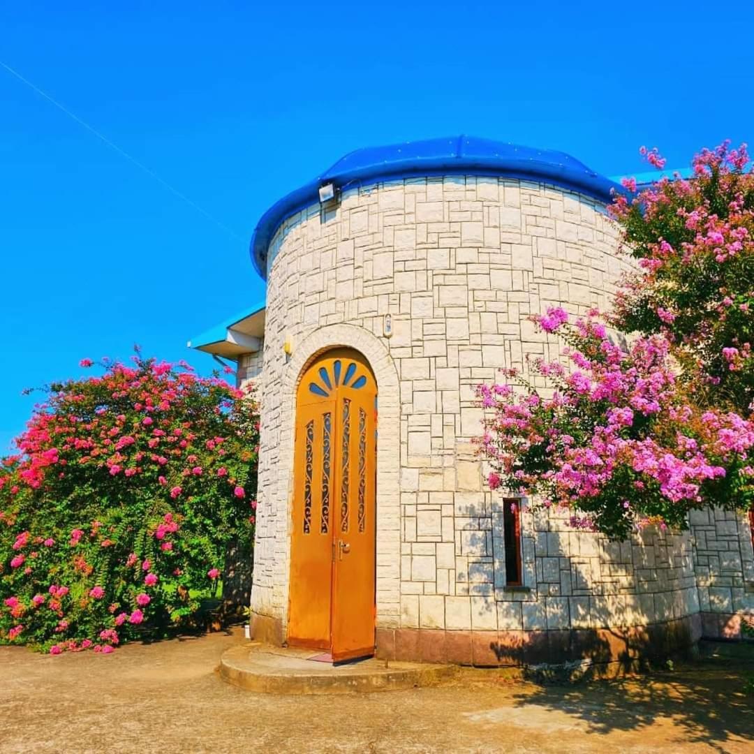 Blue Guest House Samtredia المظهر الخارجي الصورة