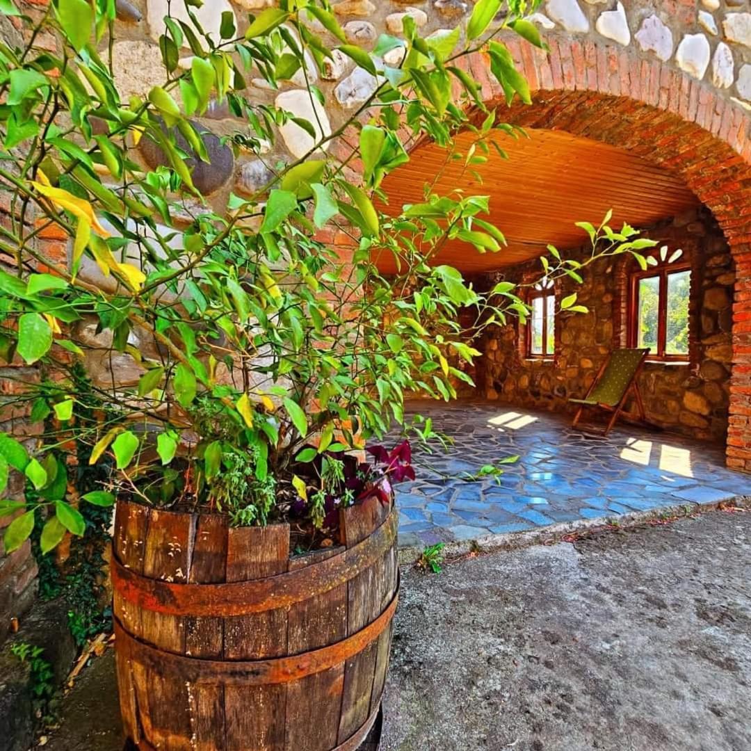 Blue Guest House Samtredia المظهر الخارجي الصورة